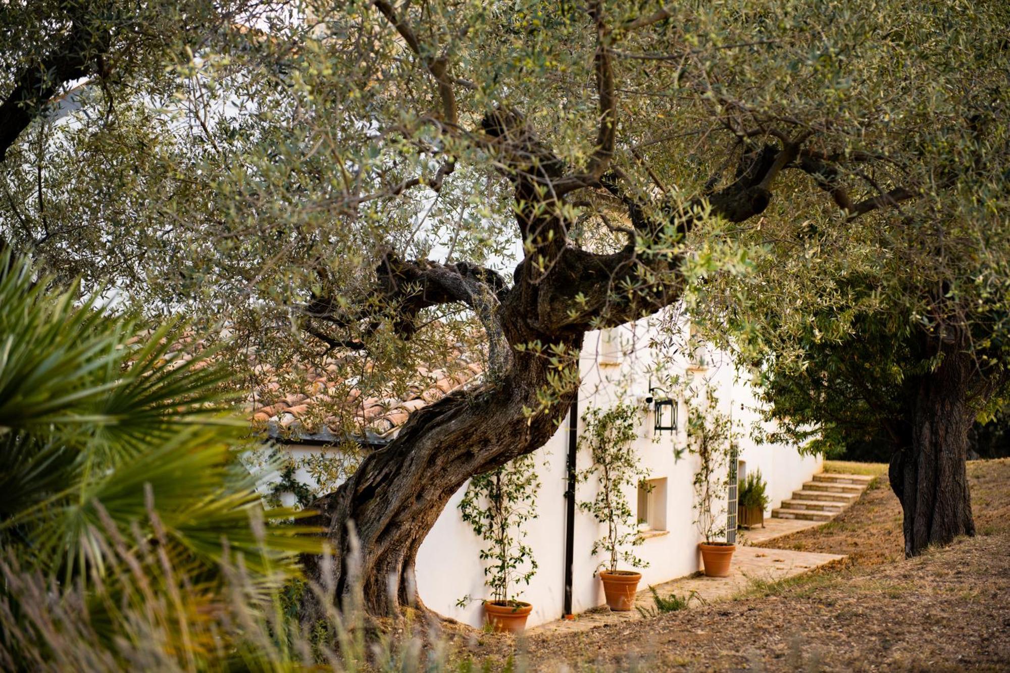 Casale Delle Lavande Citta Sant'Angelo Zewnętrze zdjęcie